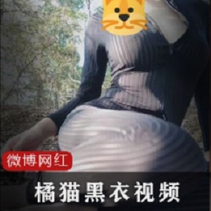 精彩橘猫：黑条纹衣两部的网红室外自娱自乐