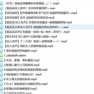 震撼声音之旅：雷电将军&那地方花A失眠R视频合集1.4G34部百度盘