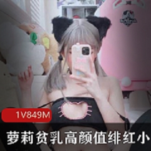 绯红小猫高颜值美少女腮红资源1套849M